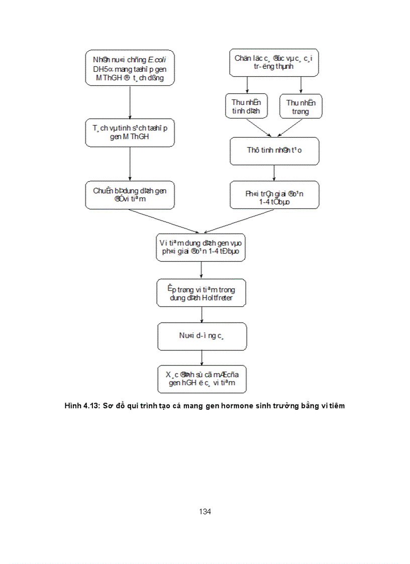 image for page Giáo án công nghệ chuyển gen