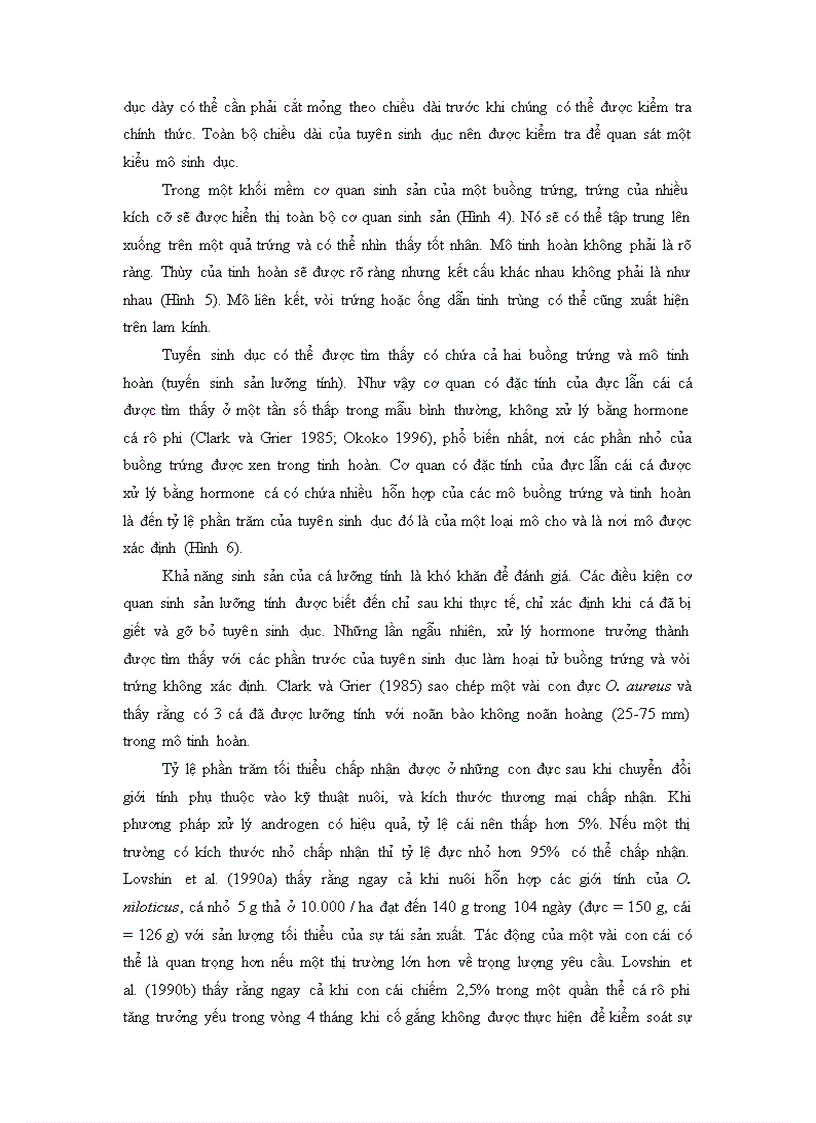 image for page Sự đổi giới tính của Cá rô phi