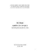 Kỹ thuật ghép cây ăn quả