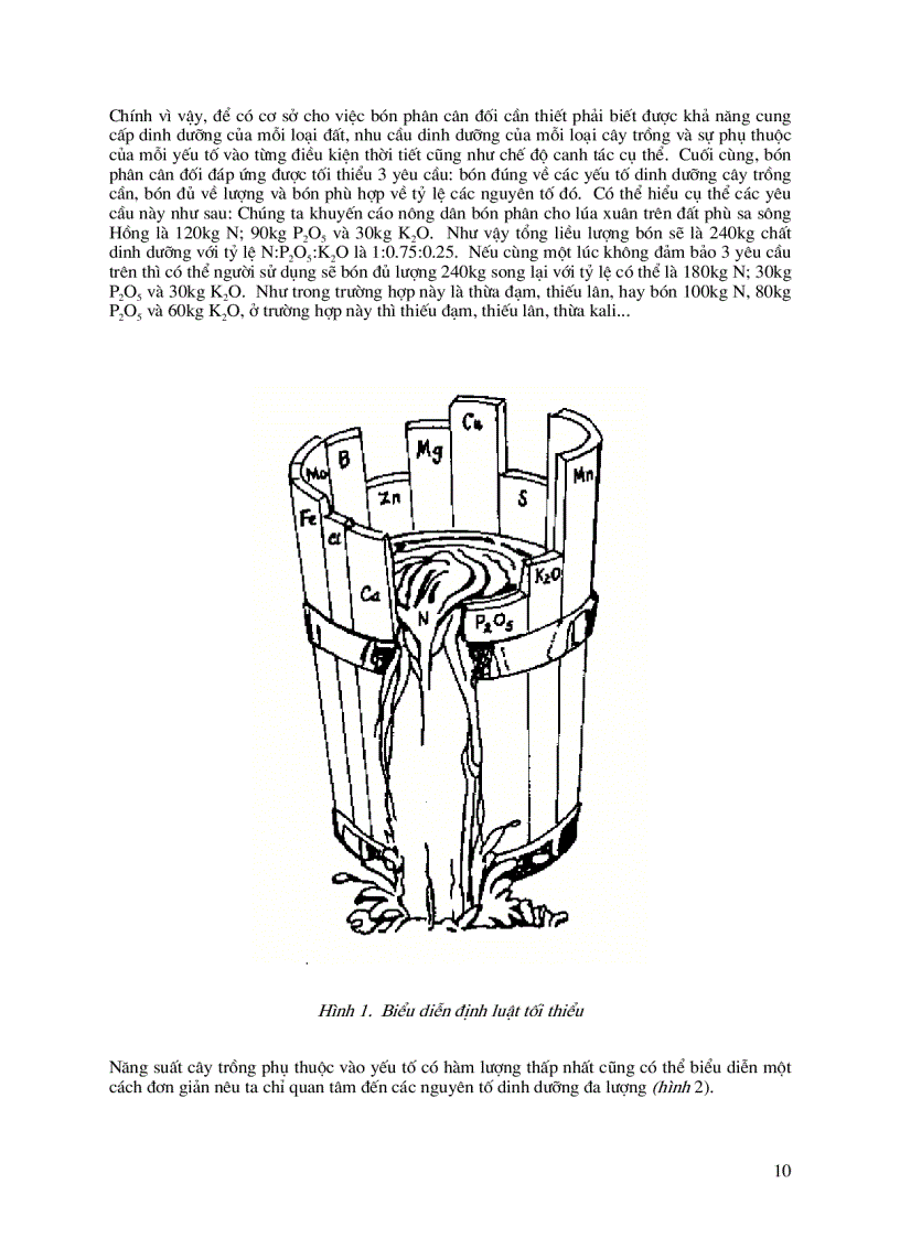 image for page Bón phân cân đối và hợp lý cho cây trồng