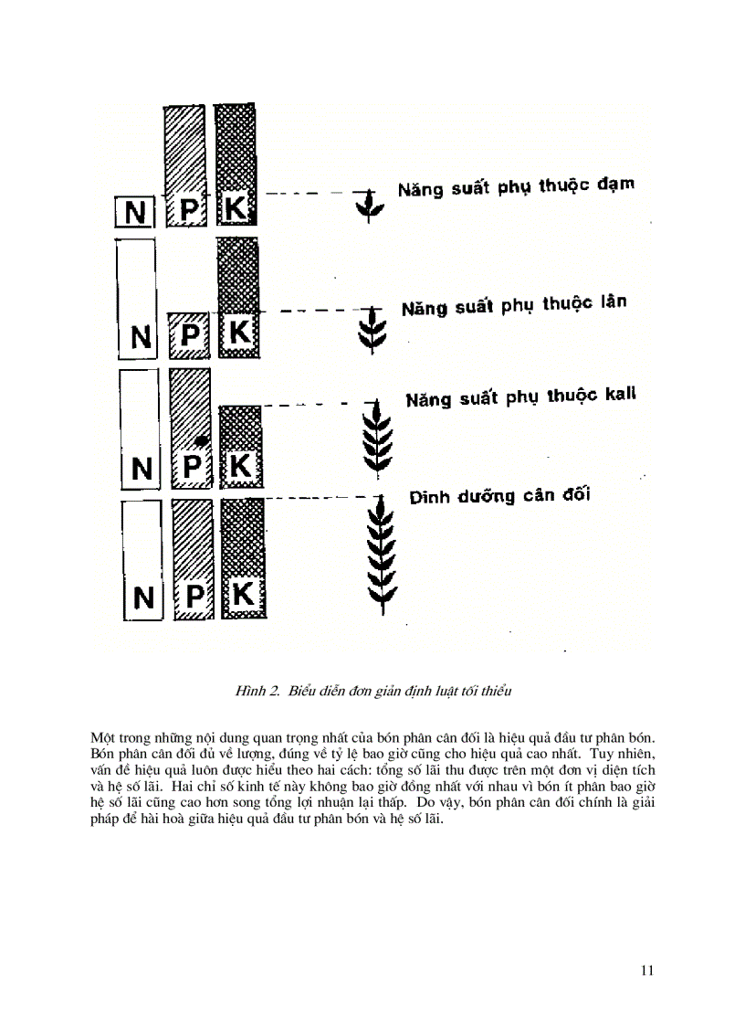 image for page Bón phân cân đối và hợp lý cho cây trồng