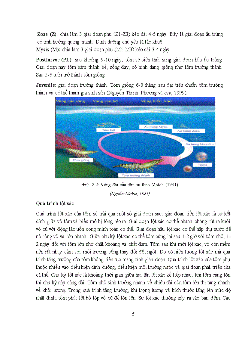 image for page Thực tập giáo trình Chuyên môn Nước Lợ