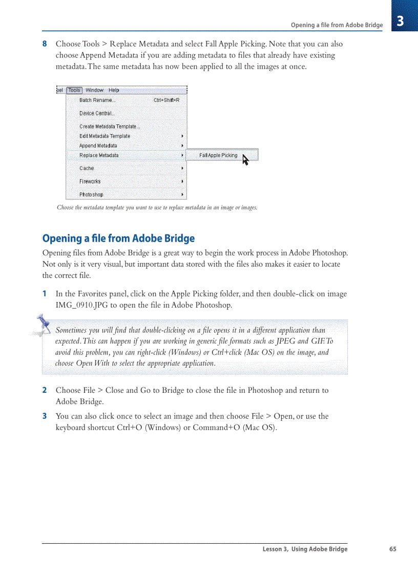 image for page Using Adobe Bridge