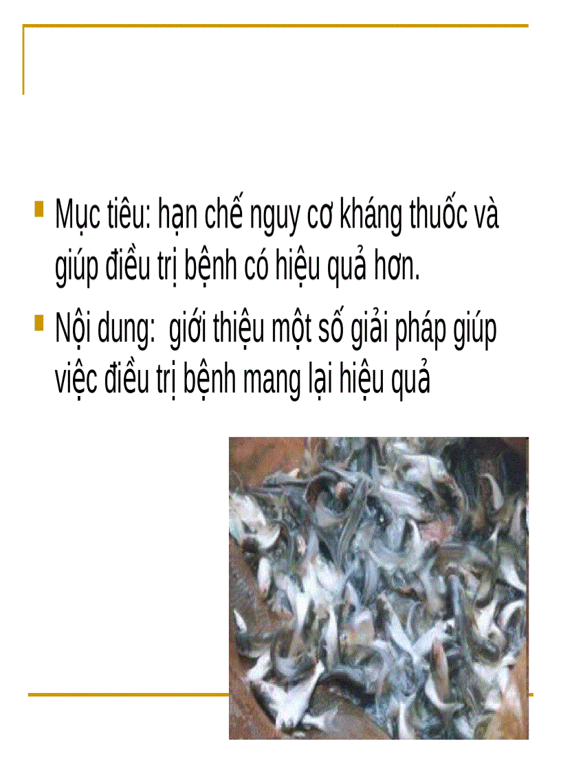 image for page GIẢI PHÁP GIÚP TĂNG HIỆU QUẢ ĐIỀU TRỊ CÁC BỆNH NHIỄM KHUẨN TRÊN CÁ TRA Pangasianodon hypophthalmus