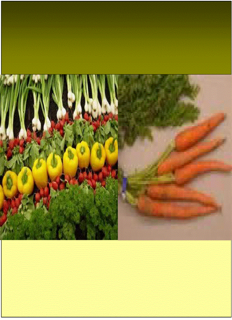 image for page Các chất phụ gia trong nuôi trồng thủy sản