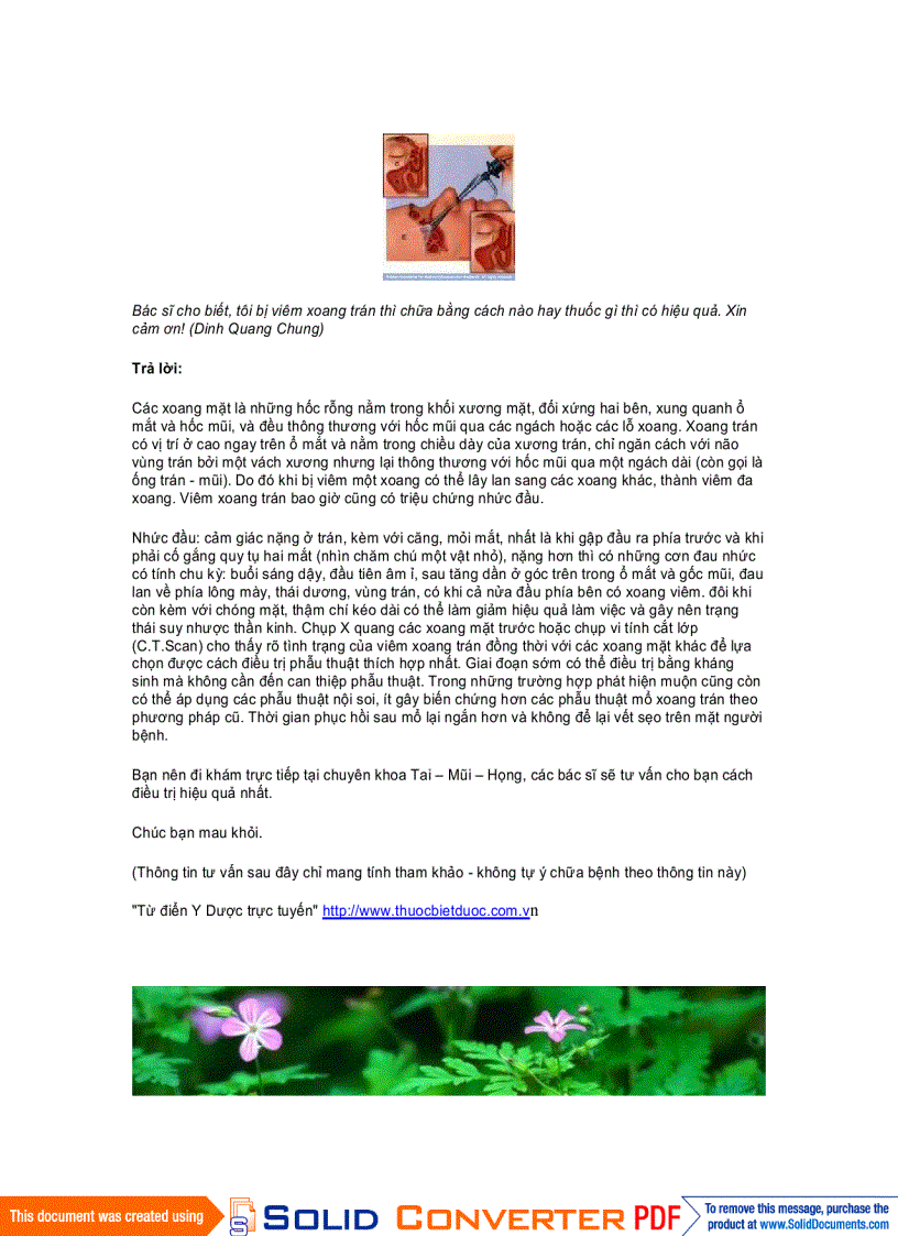 image for page BÁCH KHOA Y HỌC 2009 Bài thuốc nam chữa viêm đa xoang