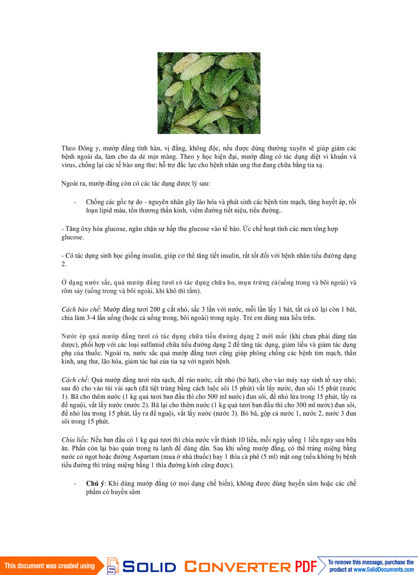 image for page BÁCH KHOA Y HỌC 2009 Bài thuốc nam chữa viêm đa xoang