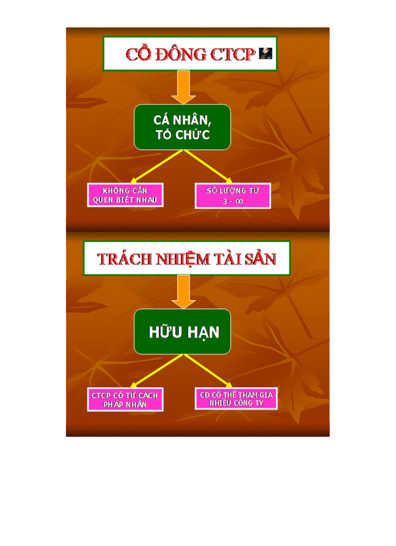 image for page Slide Luật Kinh tế Thương Mại TS Đoàn Hồng Lê