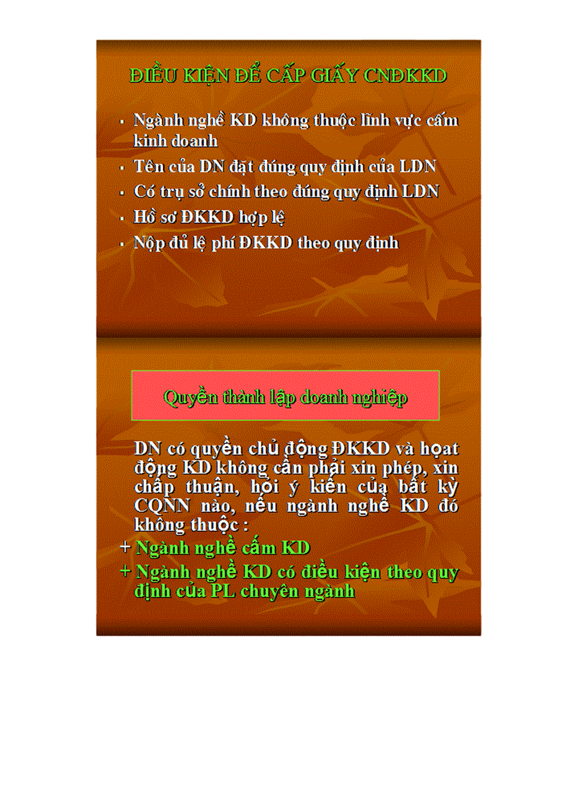 image for page Slide Luật Kinh tế Thương Mại TS Đoàn Hồng Lê