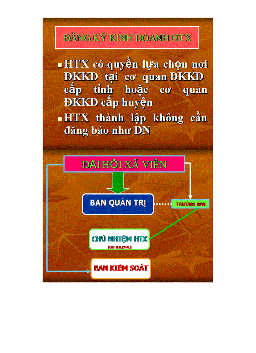 image for page Slide Luật Kinh tế Thương Mại TS Đoàn Hồng Lê