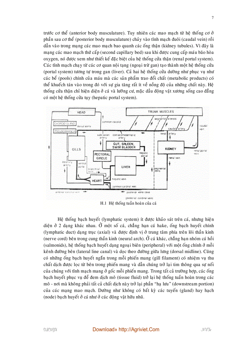image for page Giáo trình sinh lý cá giáp xác