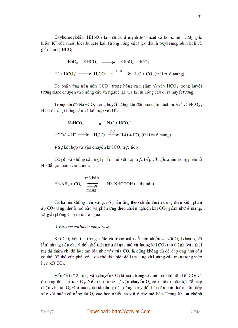 image for page Giáo trình sinh lý cá giáp xác