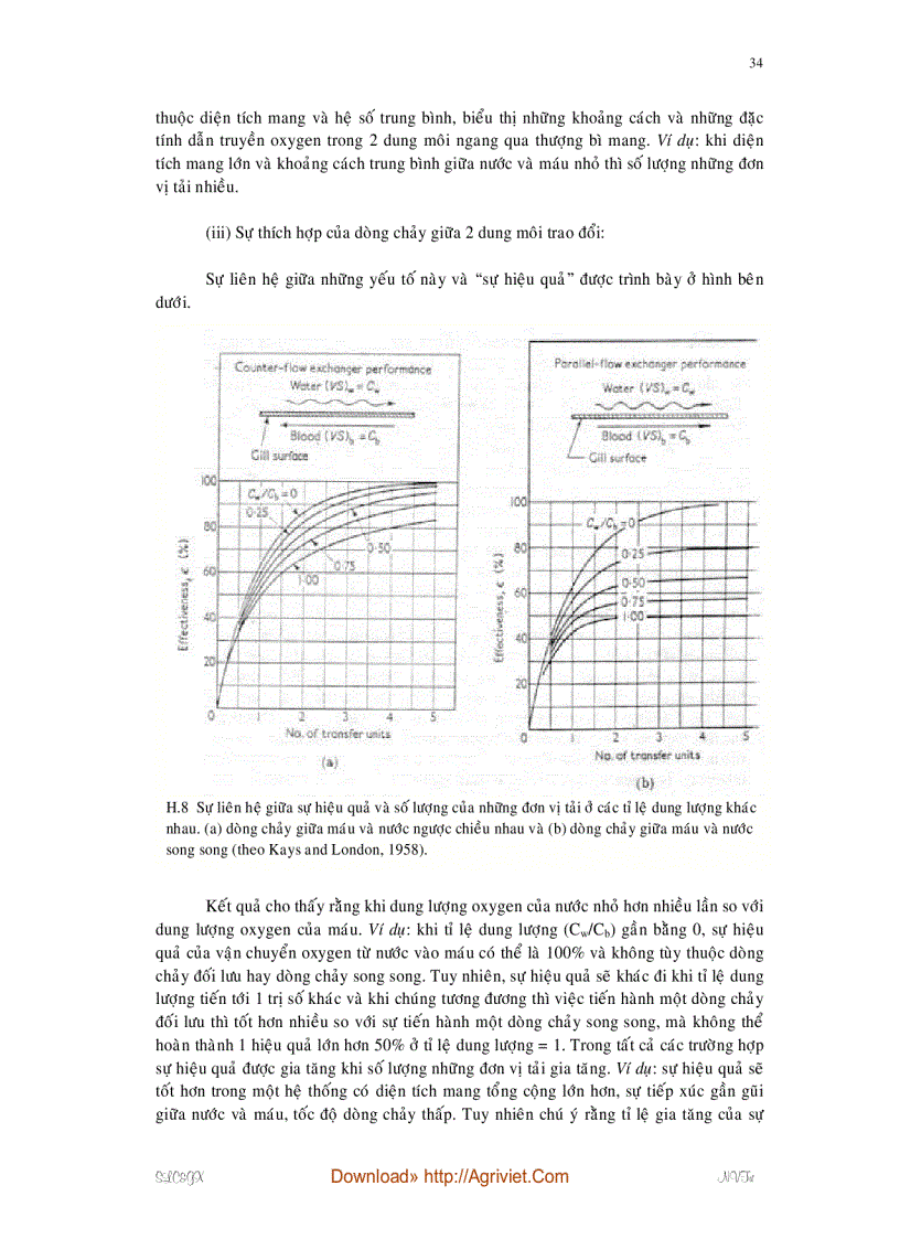 image for page Giáo trình sinh lý cá giáp xác