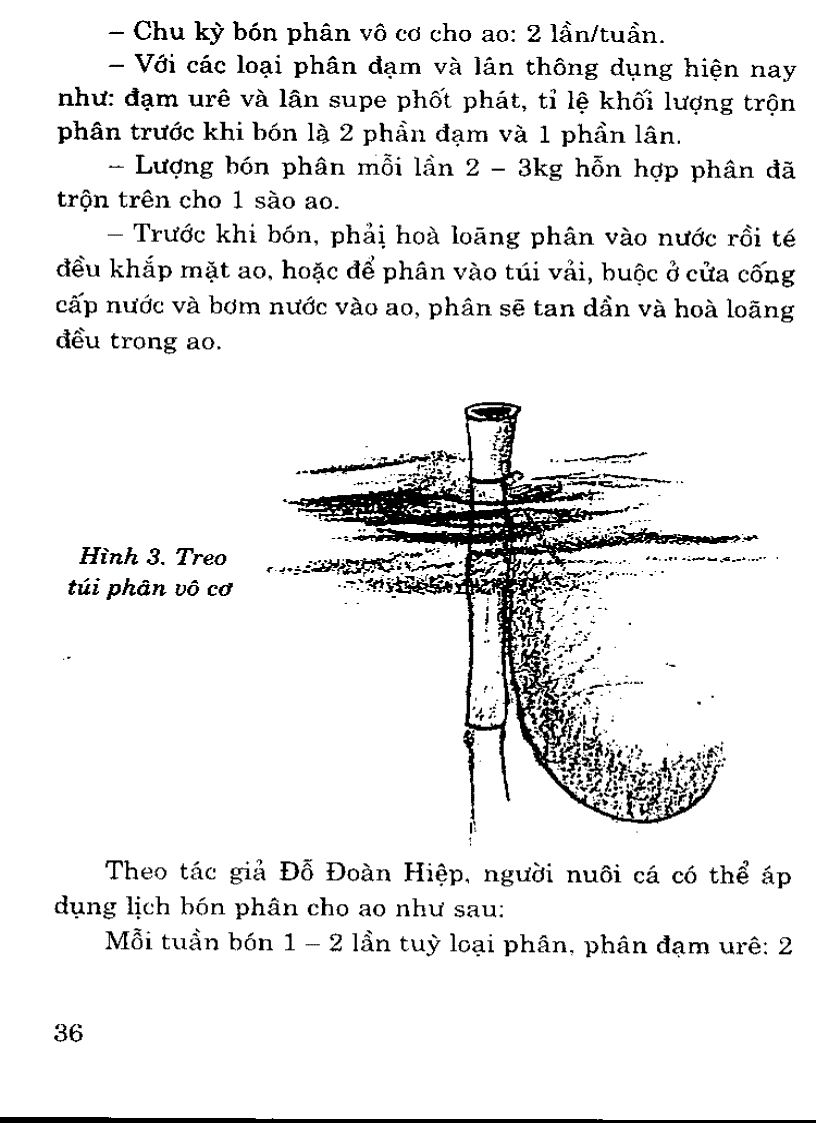 image for page Quản lý môi trường ao trong quá trình nuôi cá