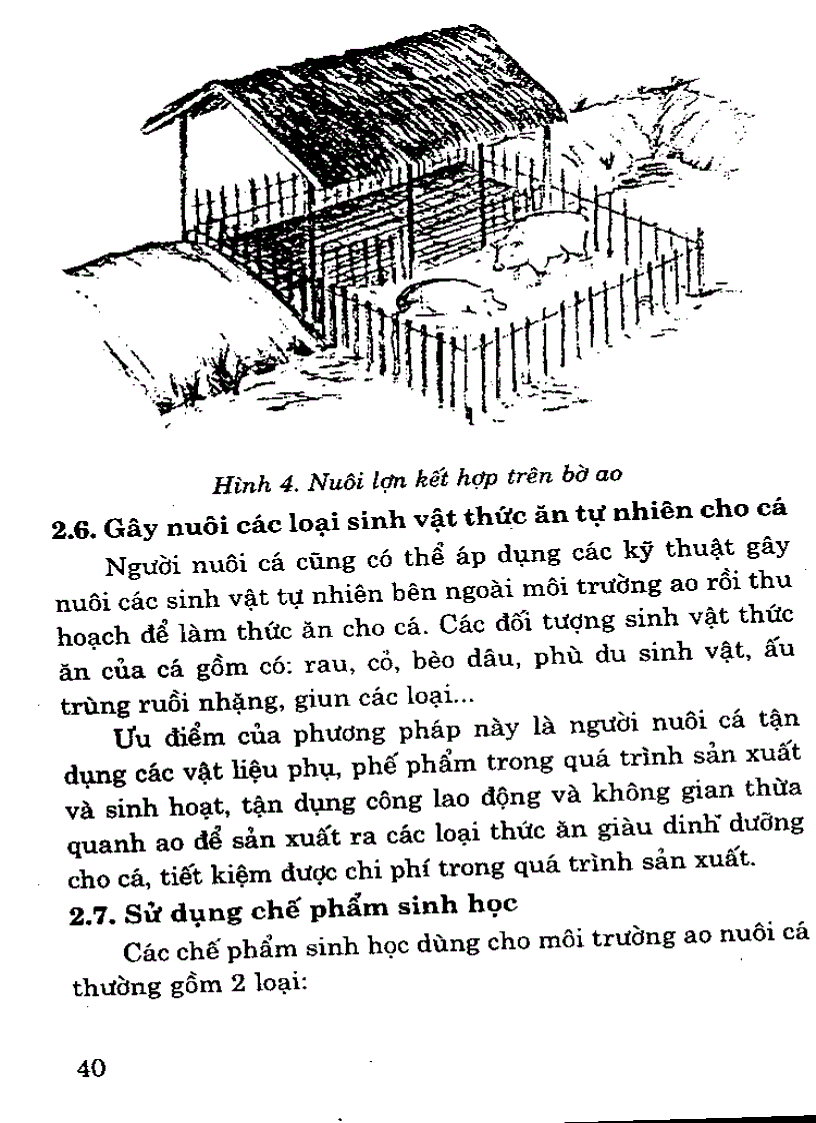 image for page Quản lý môi trường ao trong quá trình nuôi cá