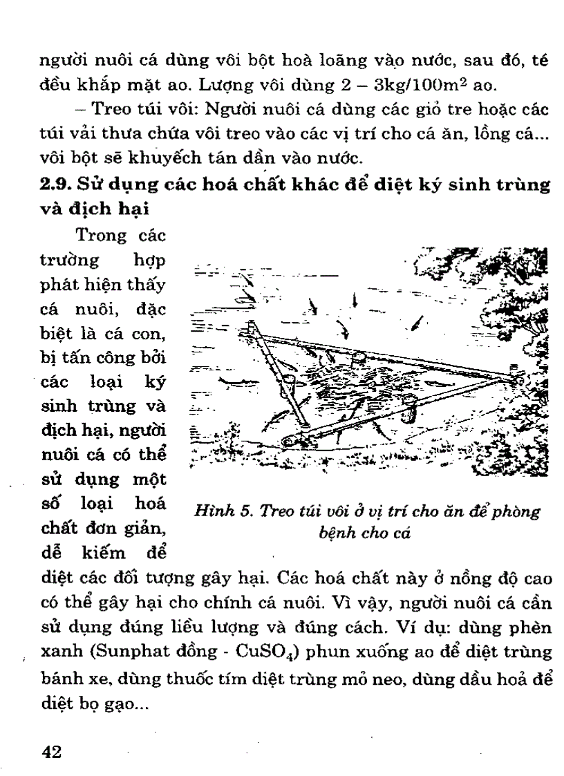 image for page Quản lý môi trường ao trong quá trình nuôi cá