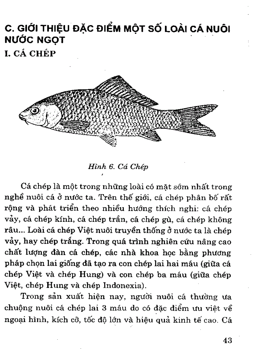 image for page Đặc điểm 1 số loài cá nuôi nước ngọt