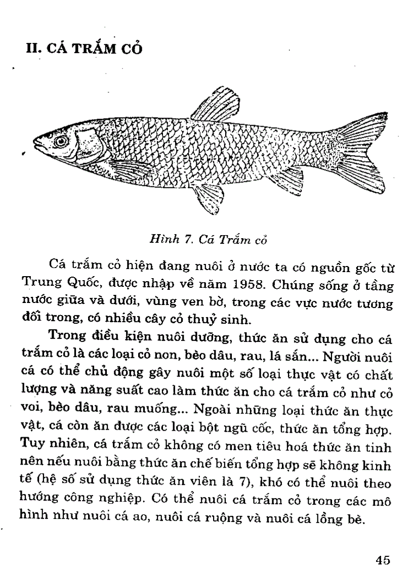 image for page Đặc điểm 1 số loài cá nuôi nước ngọt