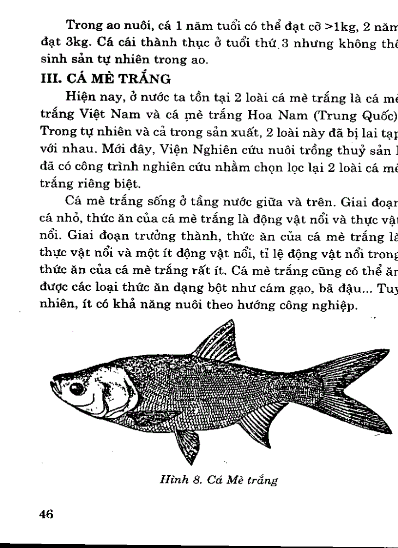 image for page Đặc điểm 1 số loài cá nuôi nước ngọt