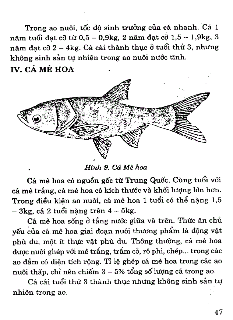 image for page Đặc điểm 1 số loài cá nuôi nước ngọt