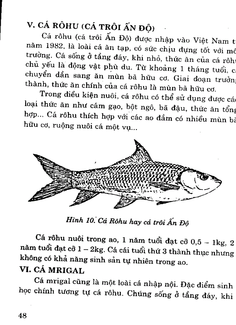 image for page Đặc điểm 1 số loài cá nuôi nước ngọt