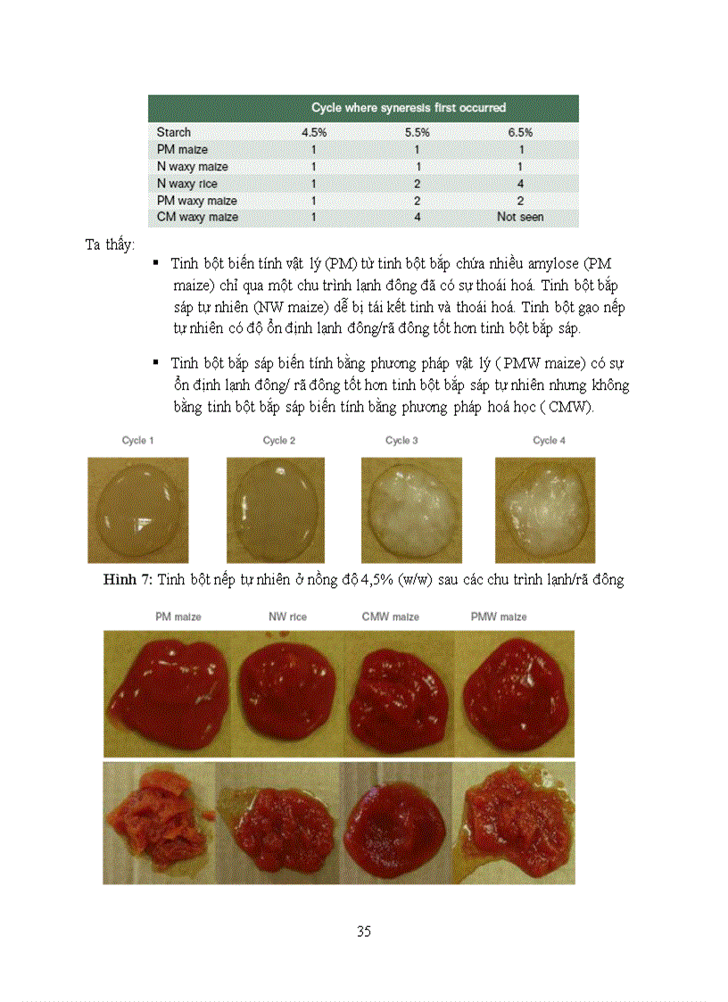 image for page Tổng quan tài liệu về tinh bột biến tính