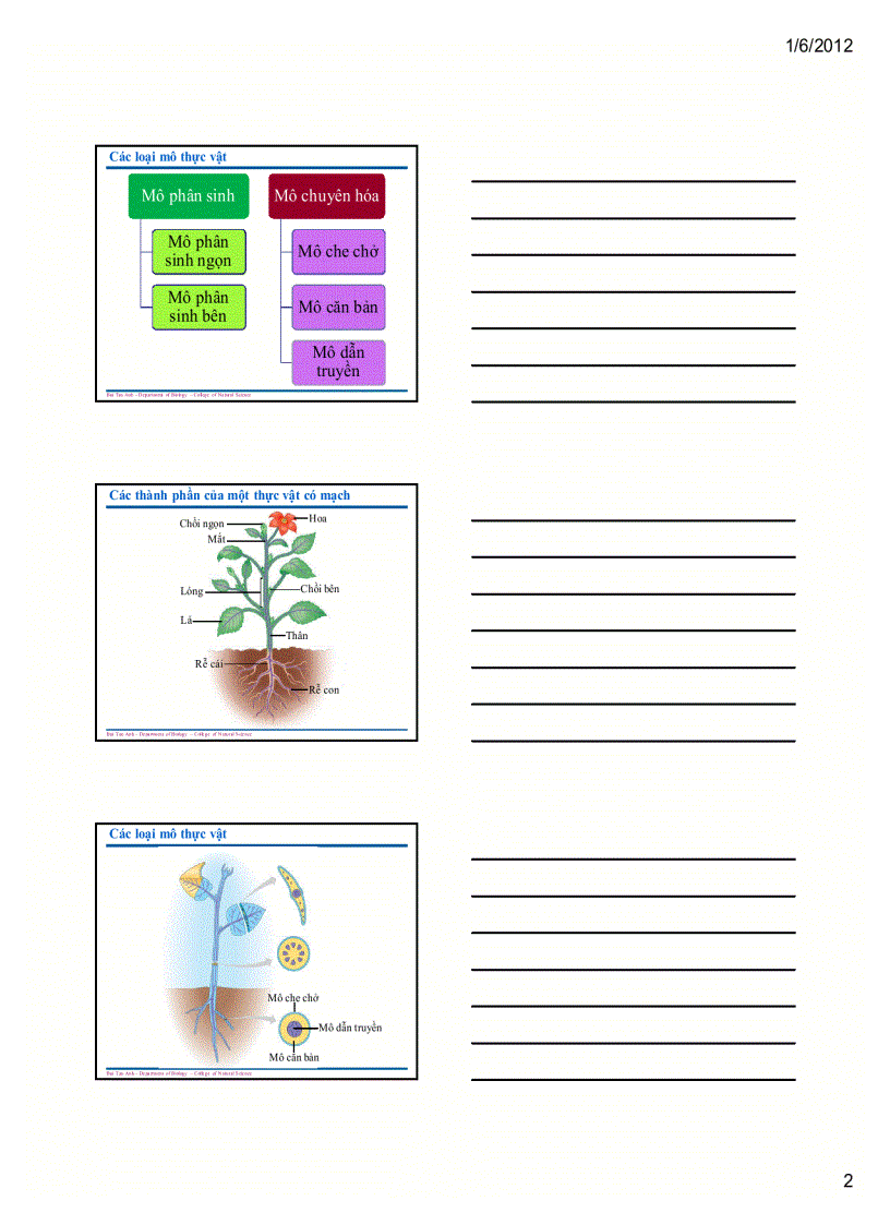 image for page Sinh học đại cương 1