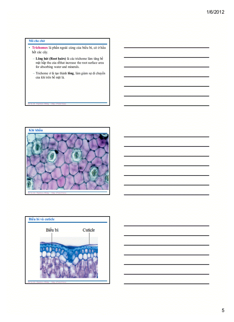 image for page Sinh học đại cương 1