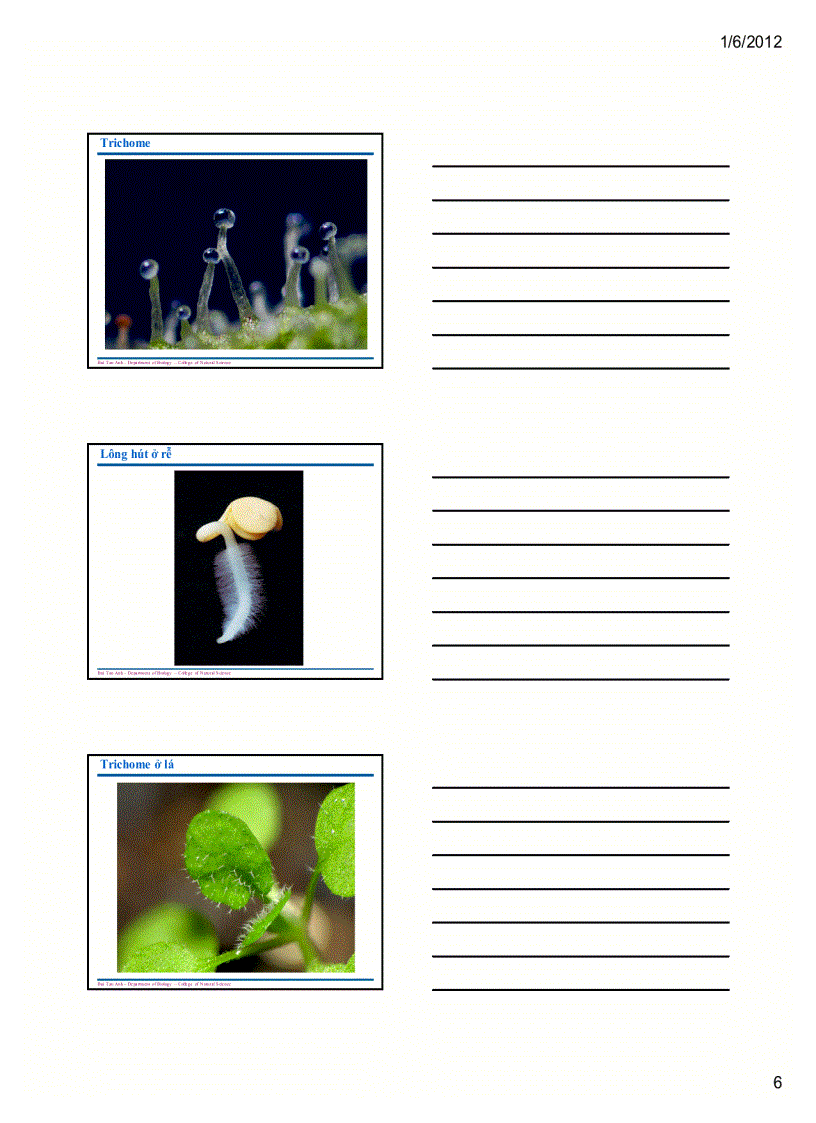 image for page Sinh học đại cương 1