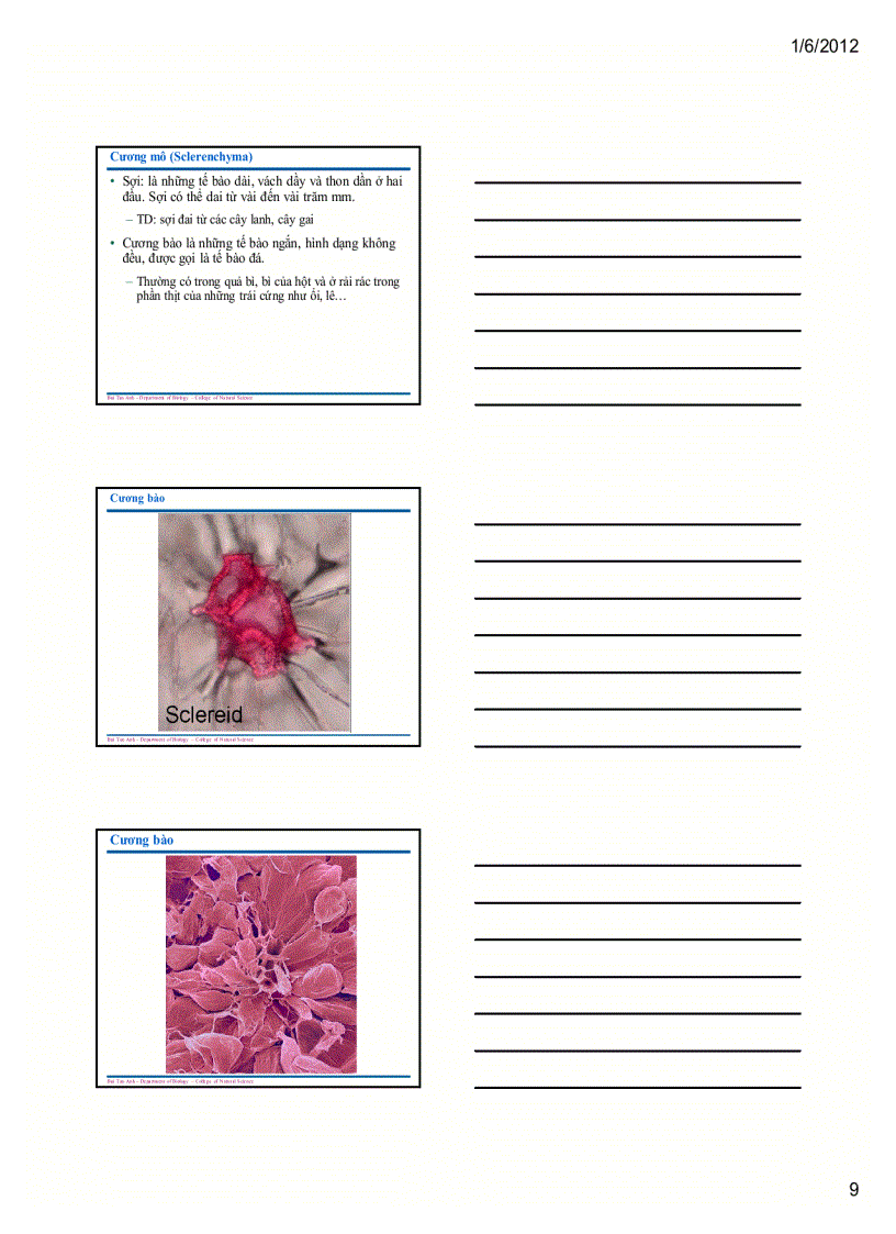 image for page Sinh học đại cương 1