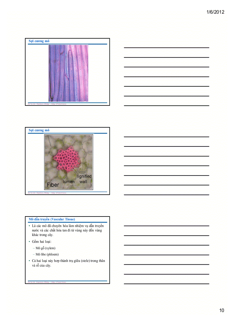 image for page Sinh học đại cương 1