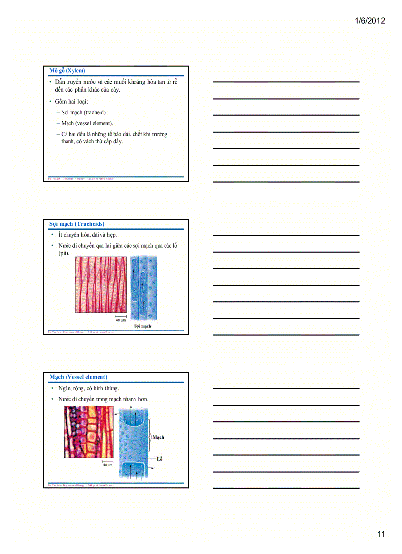 image for page Sinh học đại cương 1