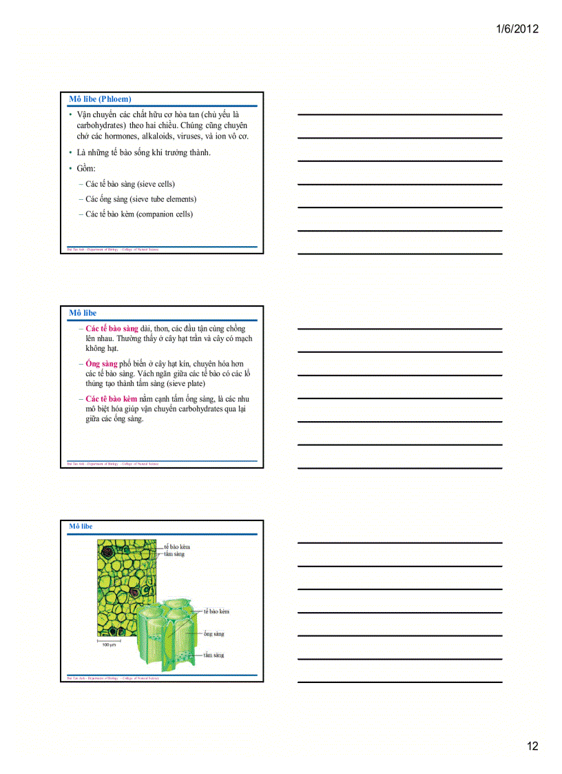 image for page Sinh học đại cương 1