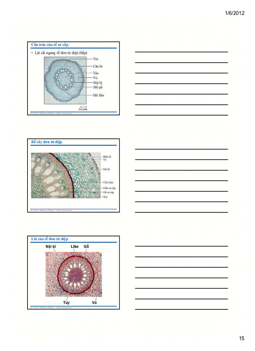 image for page Sinh học đại cương 1