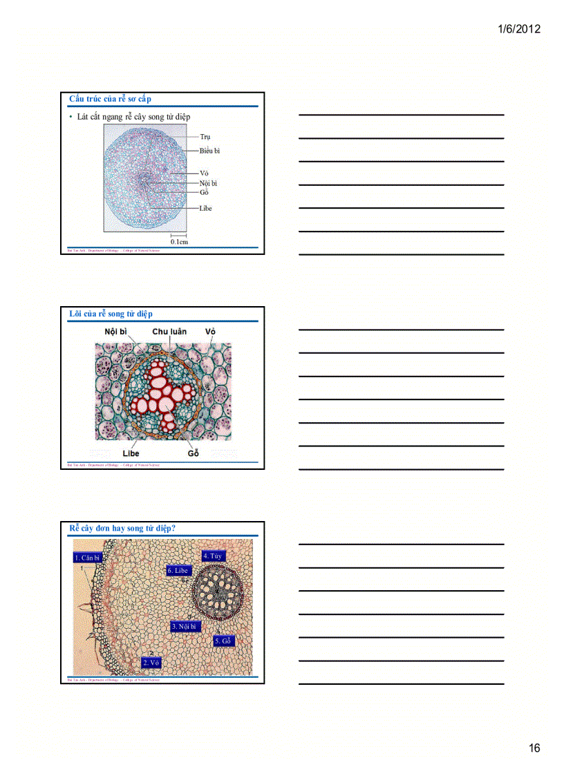 image for page Sinh học đại cương 1