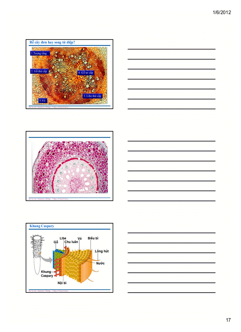 image for page Sinh học đại cương 1