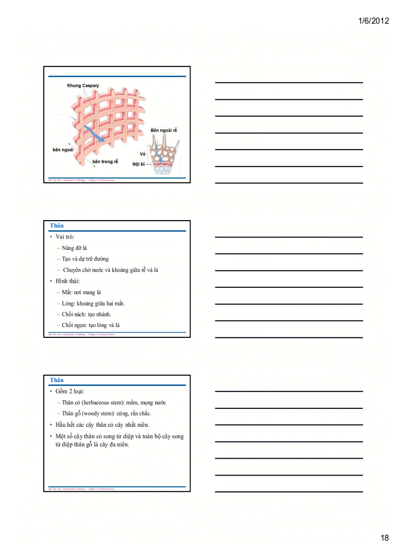 image for page Sinh học đại cương 1