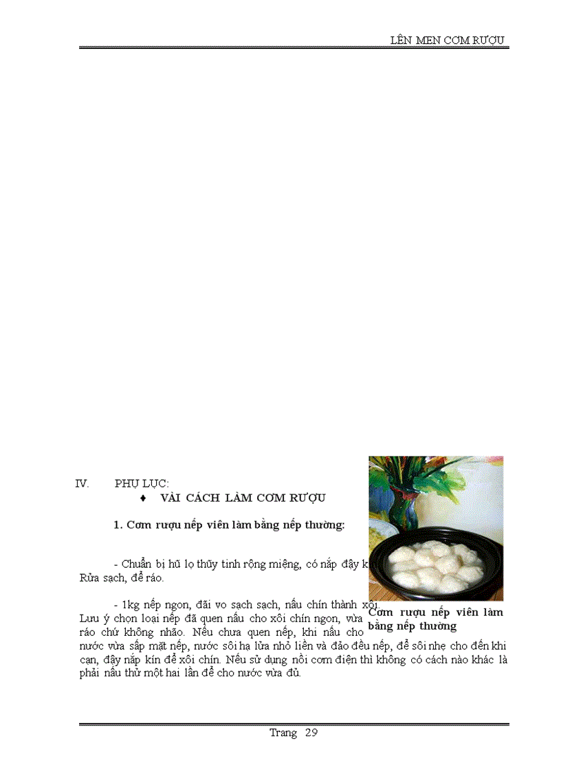 image for page Lên men cơm rượu