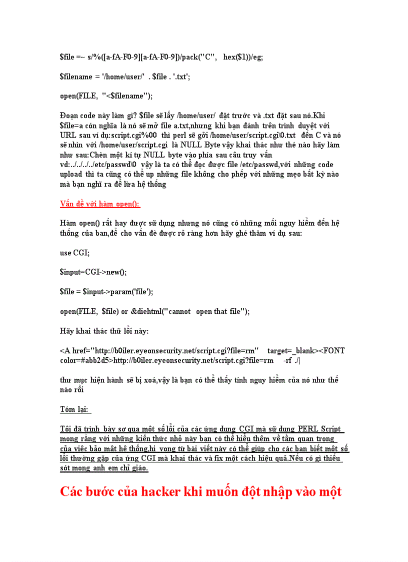 image for page Tiêu đề CGI hacking