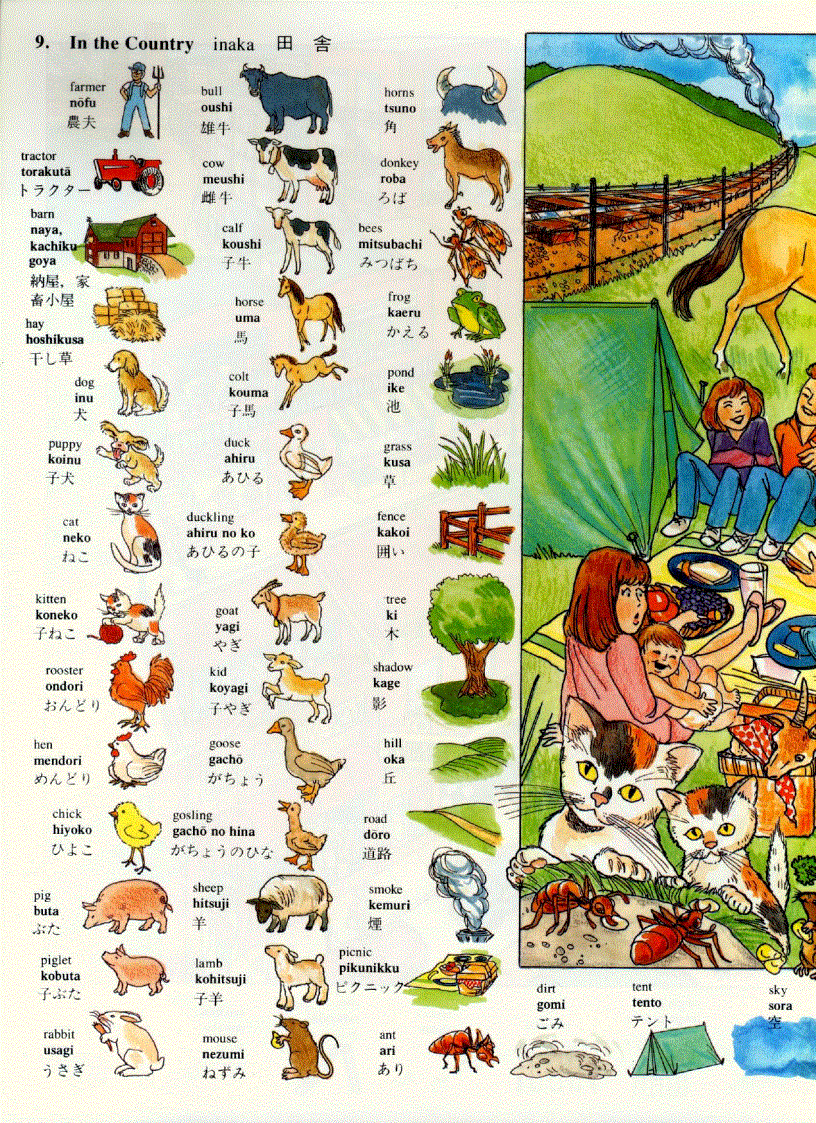 image for page Japanese picture dictionary