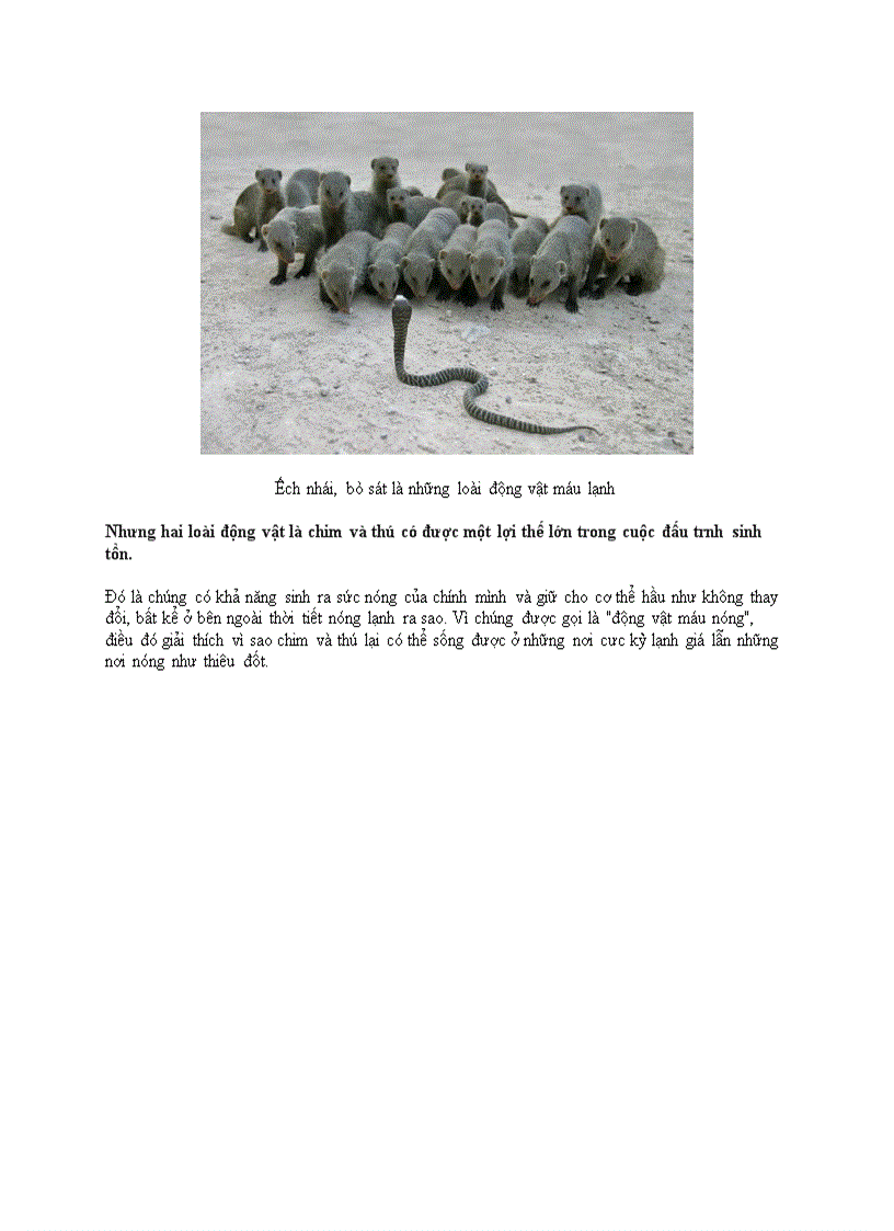 image for page Thế giới động vật máu nóng và máu lạnh