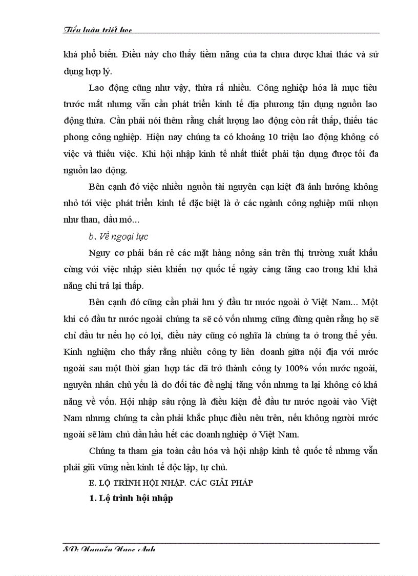 image for page Phân tích khả năng và hiện thực của kinh tế Việt Nam khi hội nhập