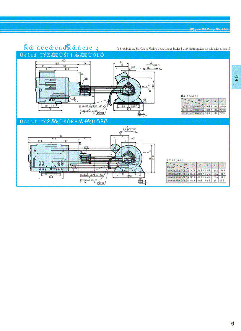 image for page Bơm bánh răng