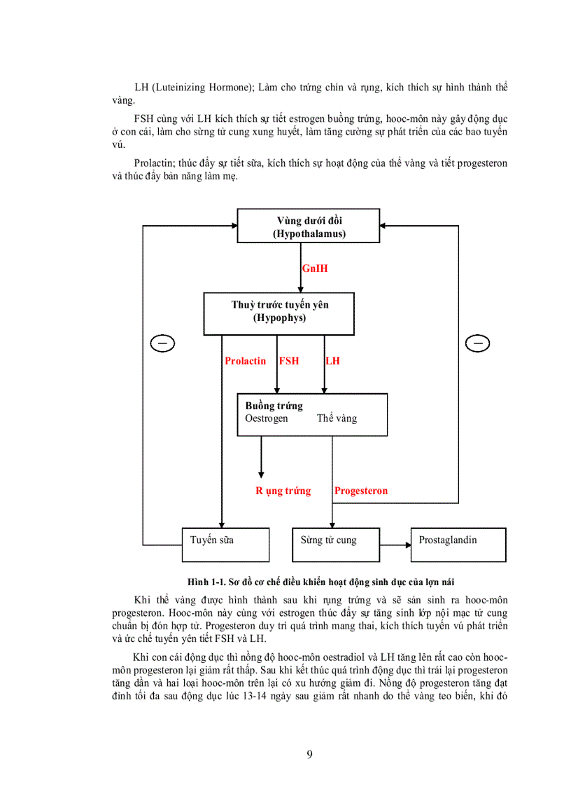 image for page Giáo trình chăn nuôi chuyên khoa