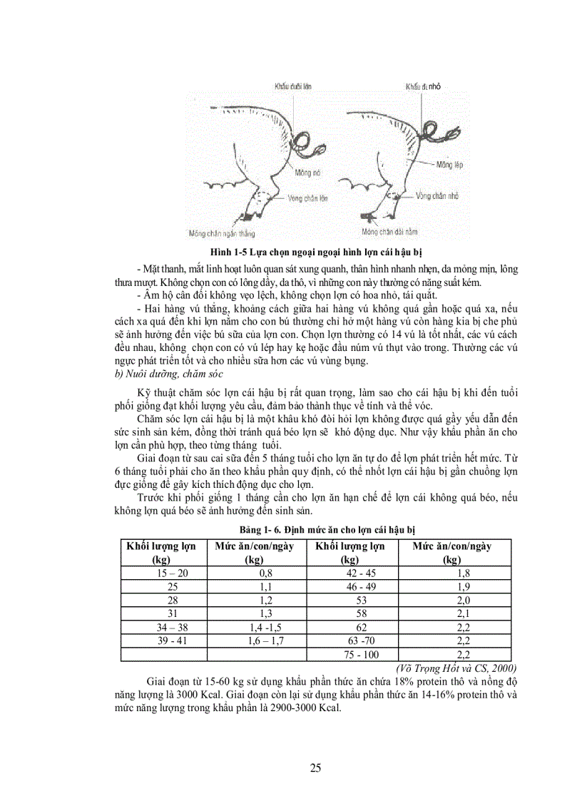 image for page Giáo trình chăn nuôi chuyên khoa