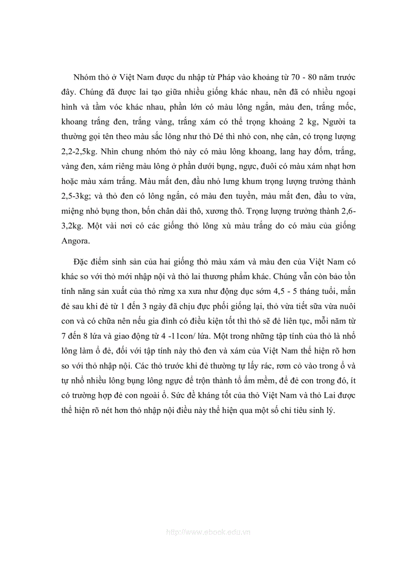 image for page Bài giảng chăn nuôi thỏ