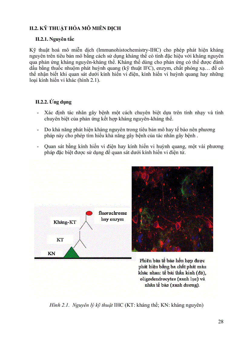 image for page Giáo trình bệnh thủy sản