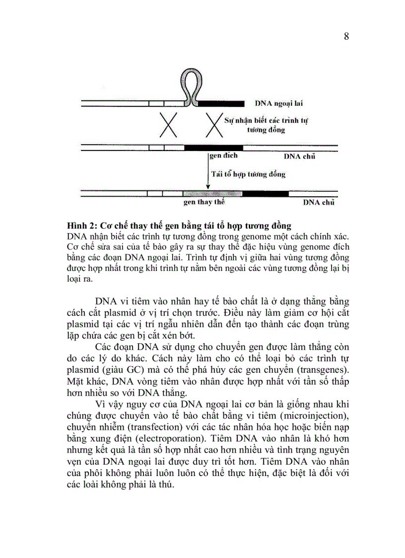 image for page Công nghệ chuyển gen động vật thực vật