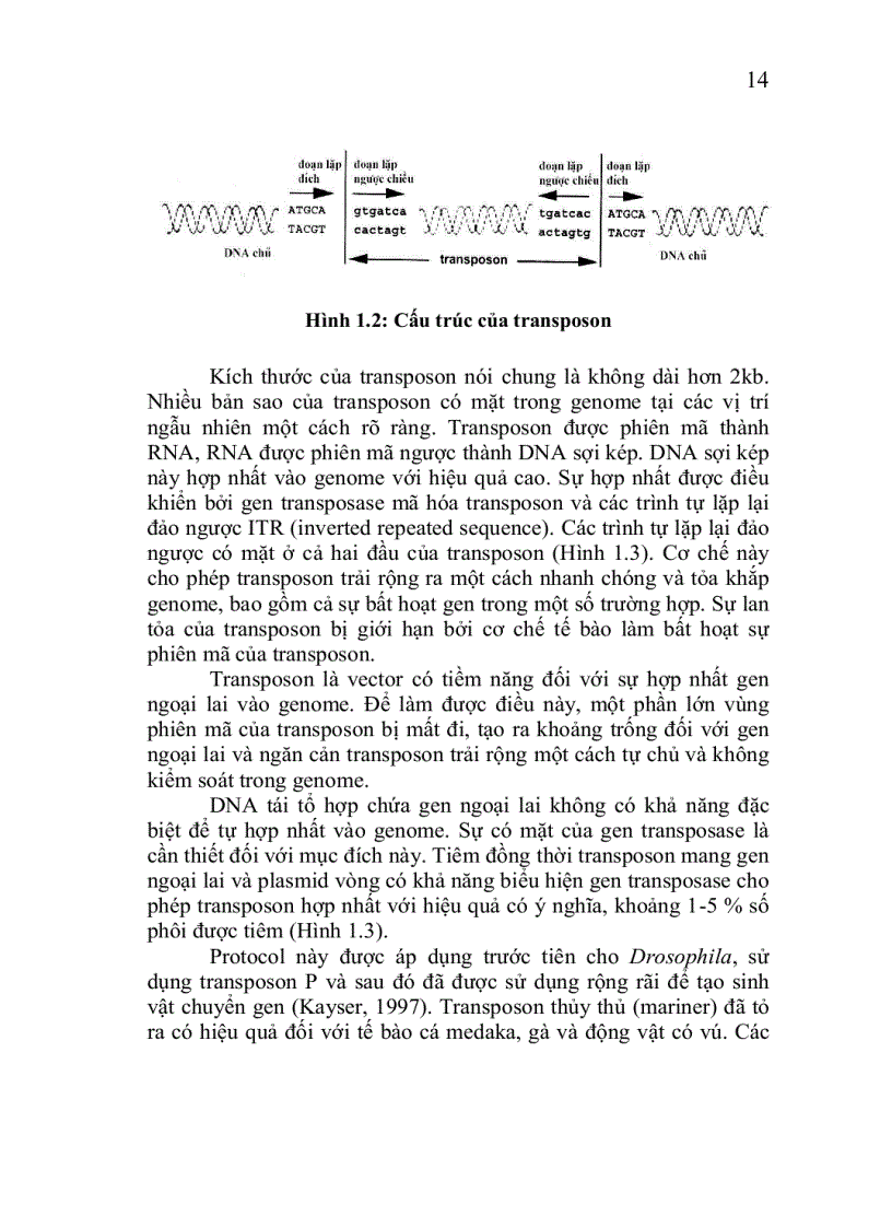 image for page Công nghệ chuyển gen động vật thực vật