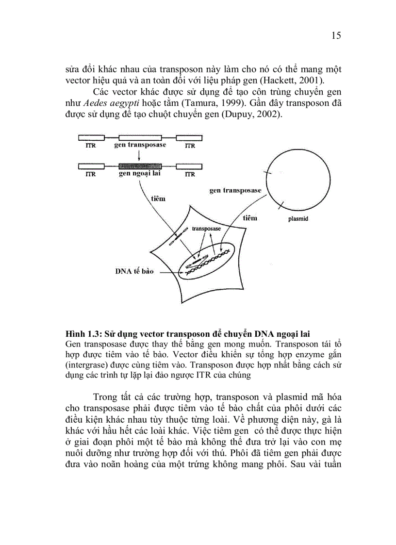 image for page Công nghệ chuyển gen động vật thực vật
